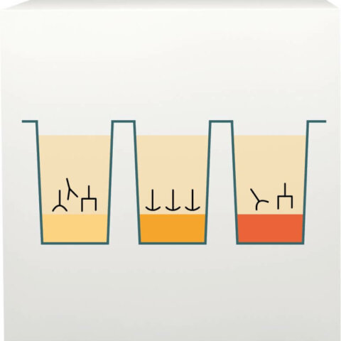 ImuPro processus laboratoire 2