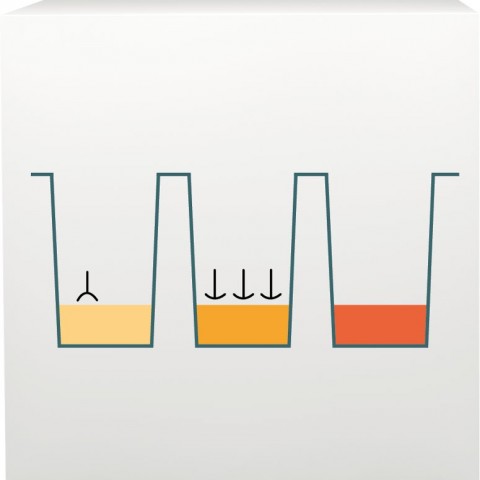 ImuPro processus laboratoire 3