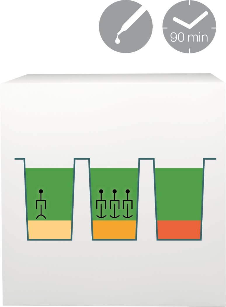 lab-procedure-3