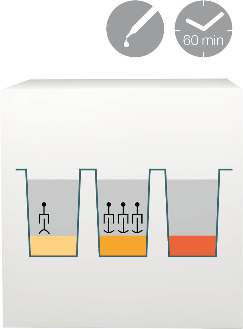 lab-procedure-5