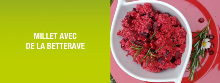 Recette millet avec de la betterave